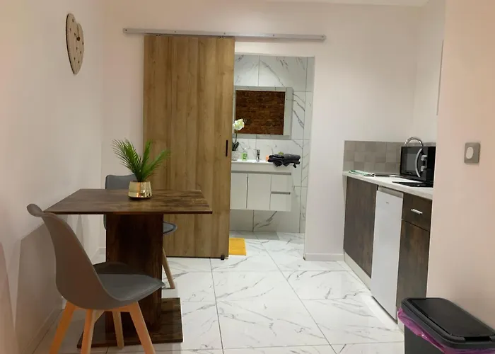 Apartment Coeur De Perpignan